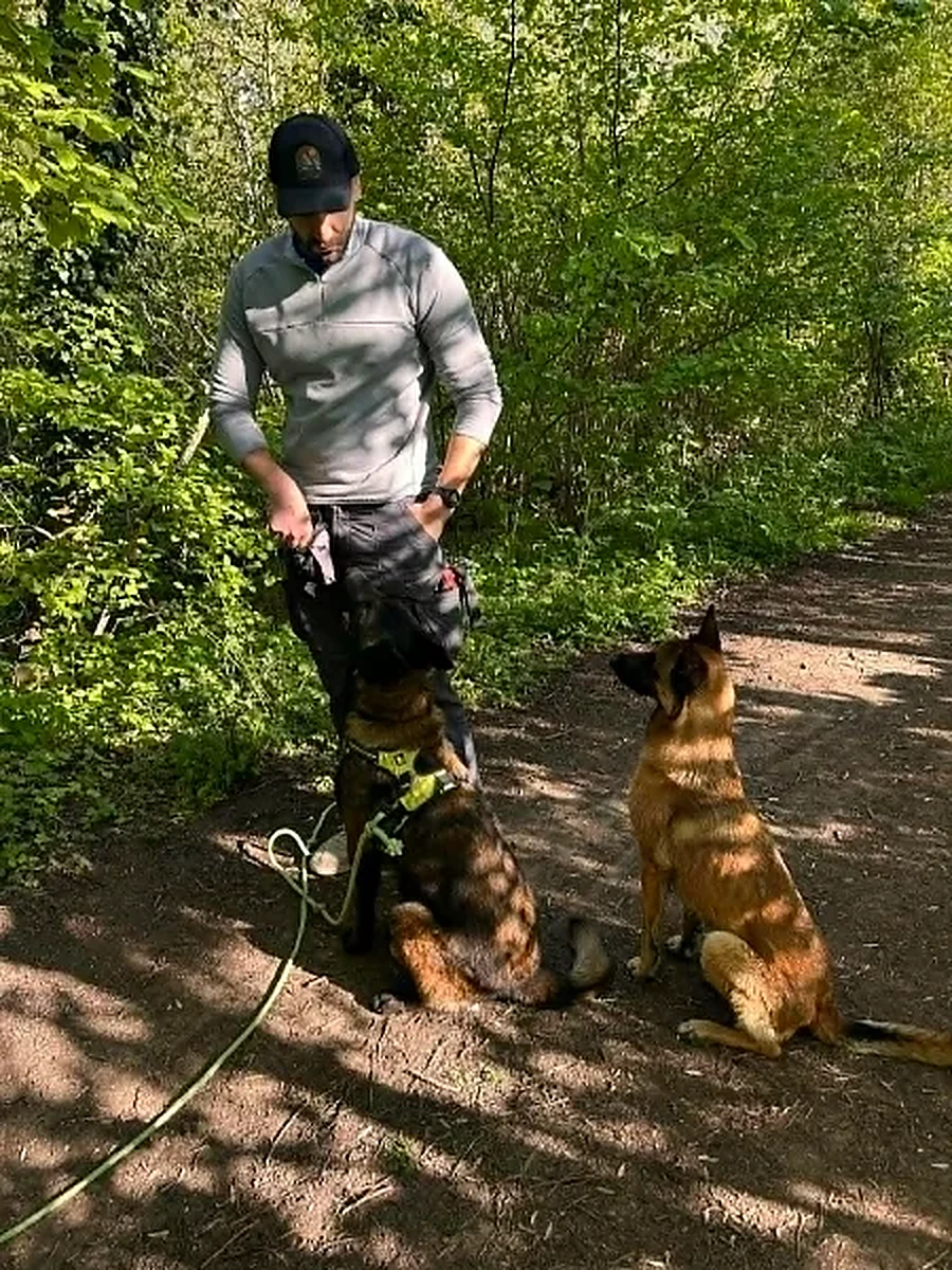 Victor Vergne, éducateur canin, avec deux chiens en forêt